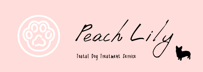 Peach Lily Dog