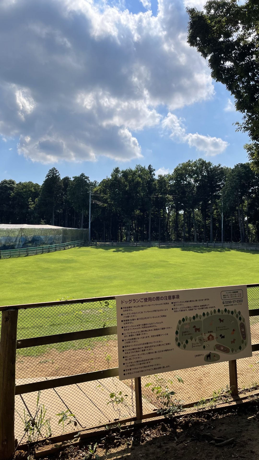 【コーギーオーナー向け】おすすめのドッグラン