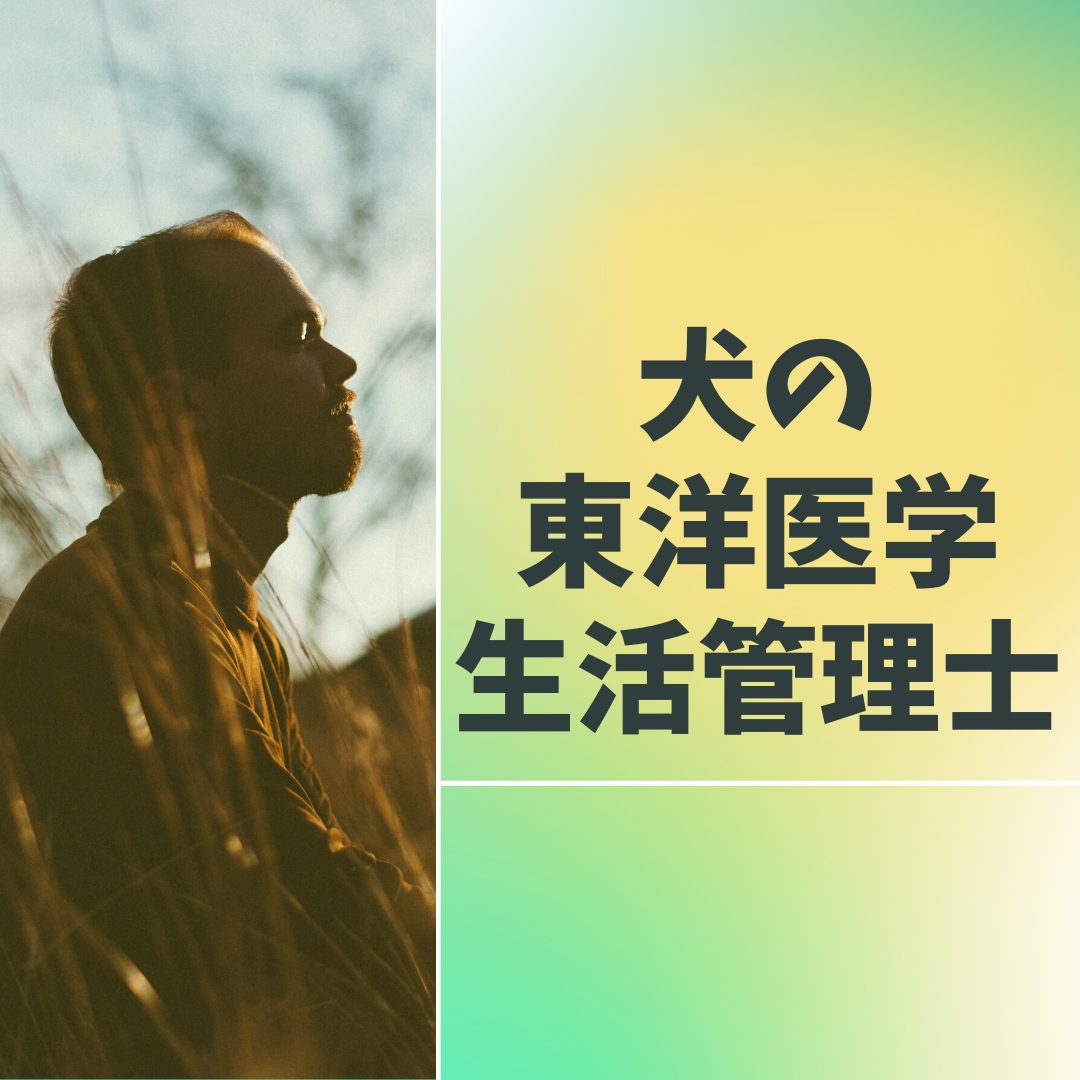 【犬の東洋医学生活管理士】資格取得しました