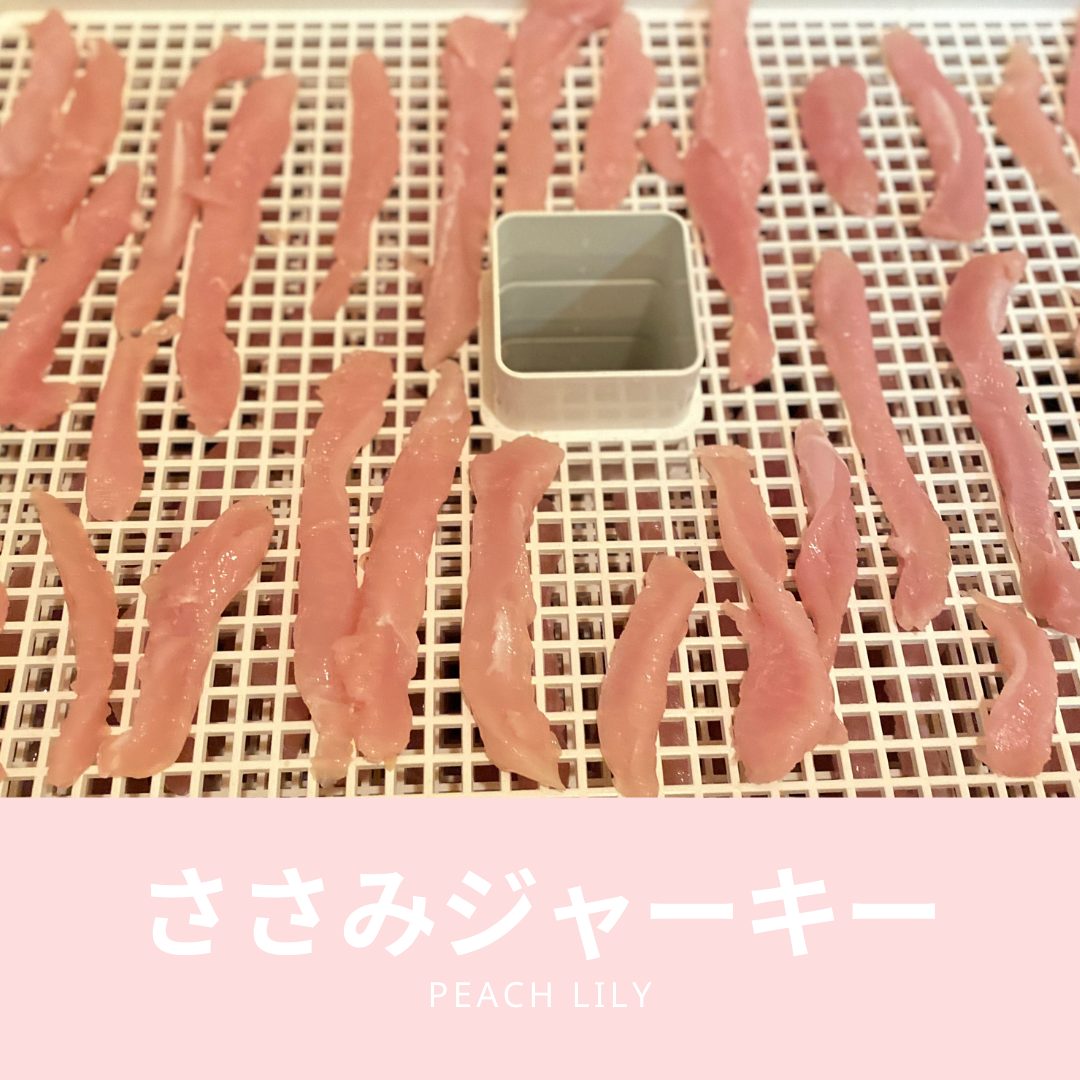 【GW特別企画】ペットホテルご利用者様へのプレゼント