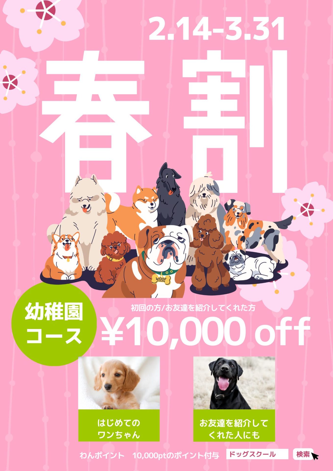 ドッグスクール 春割キャンペーン