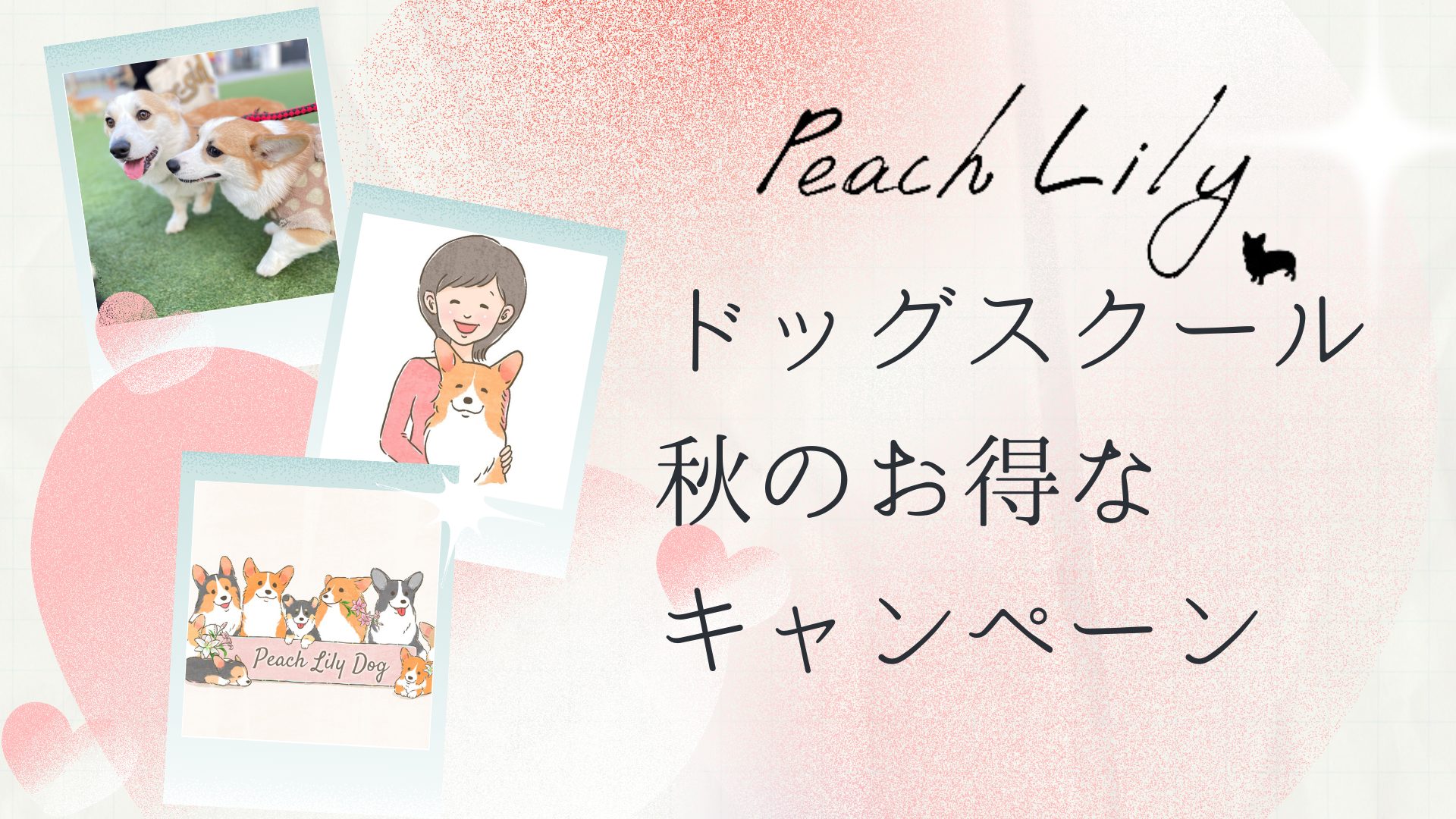 【お知らせ】Peach Lily Dog 秋のドッグスクールお得なキャンペーン【第2弾】