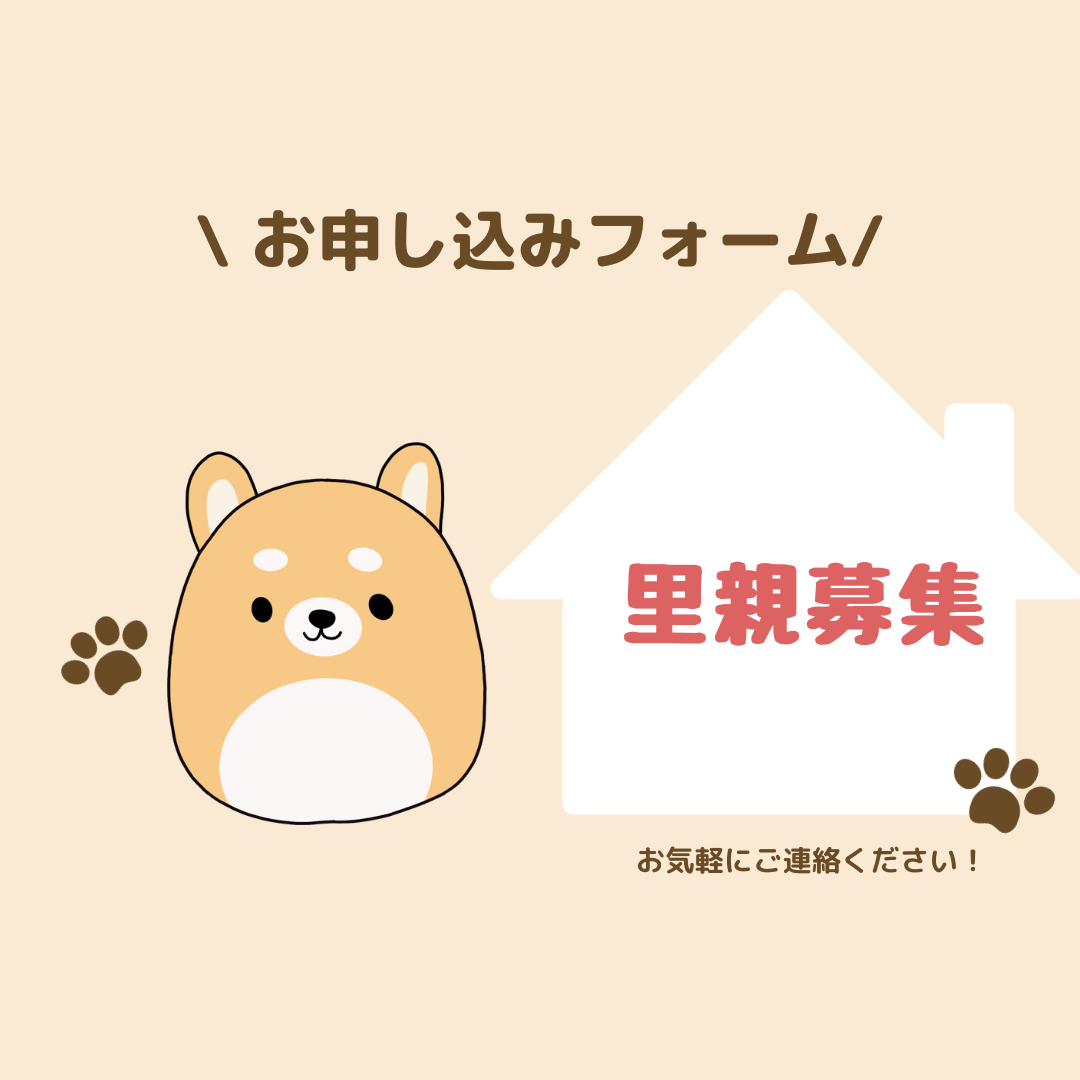 【里親希望の方向け】里親希望者向けお問い合わせフォーム
