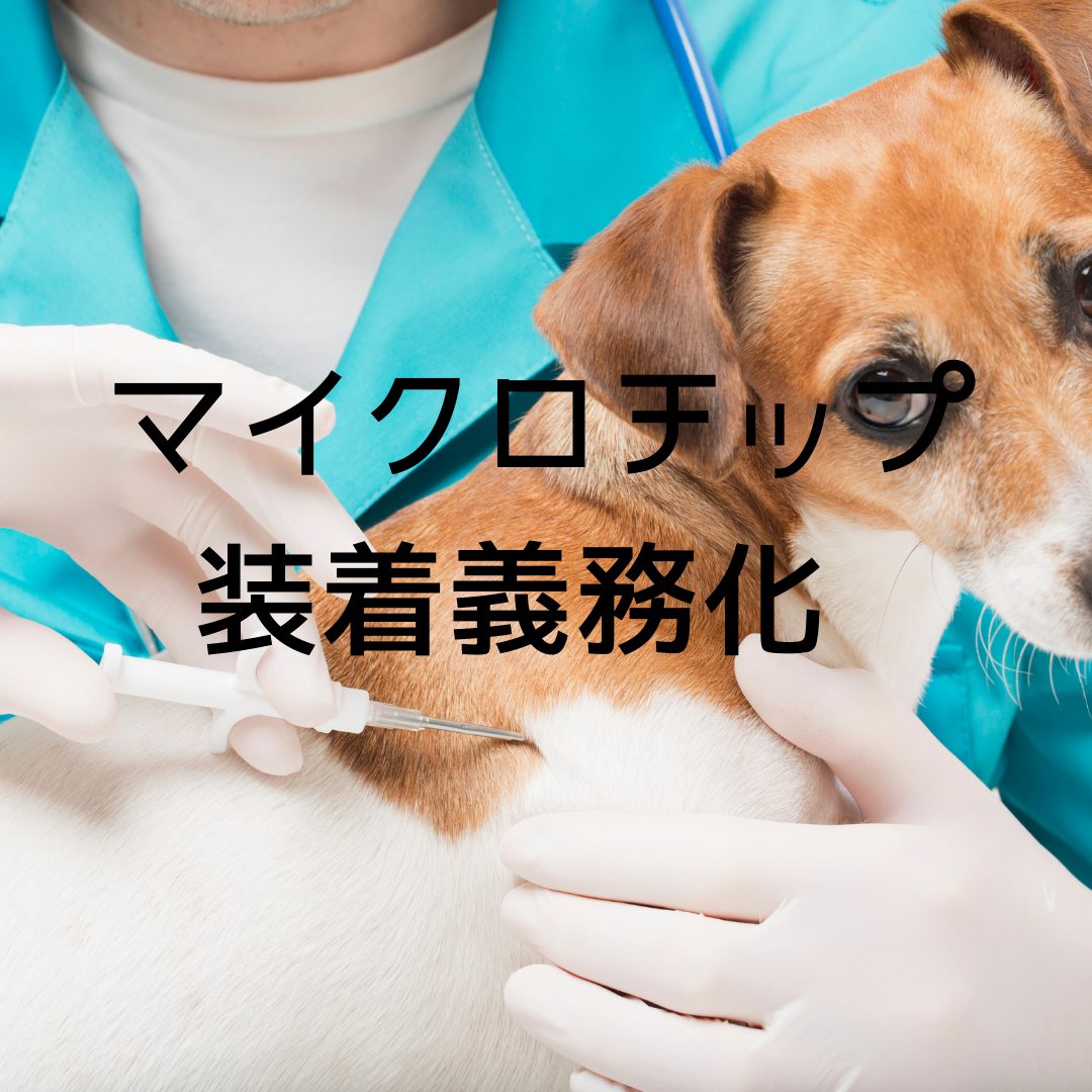 【お知らせ】マイクロチップ環境庁データベースへの移行登録