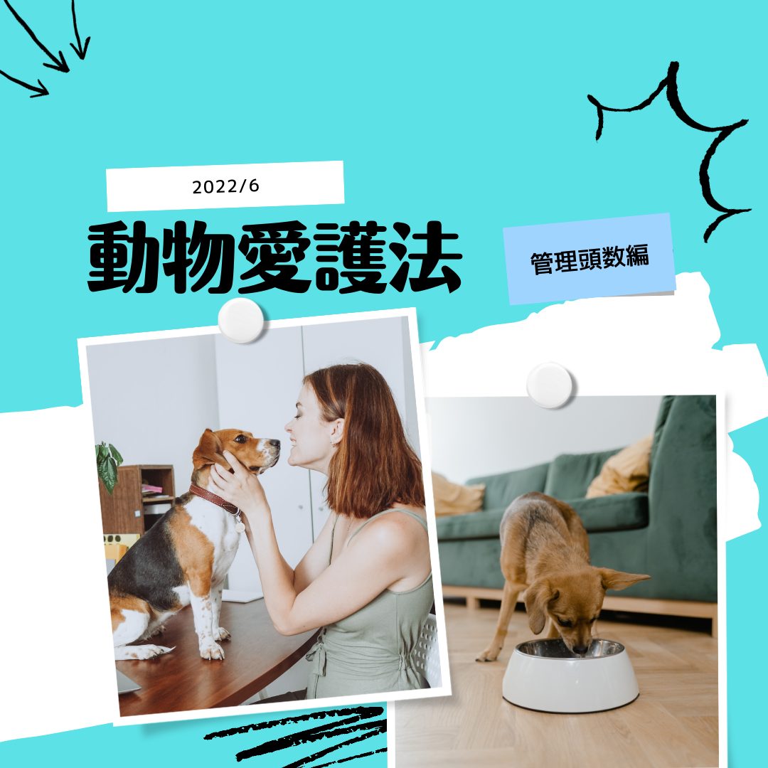 【解説】2022年6月より適用 動物愛護法改正 パート2