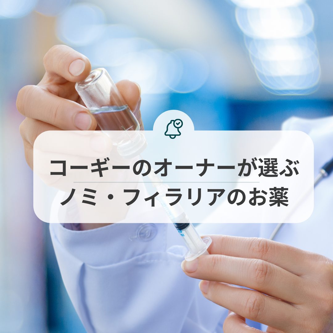 【2022年度版】コーギーのオーナーが選ぶノミ・フィラリアのお薬