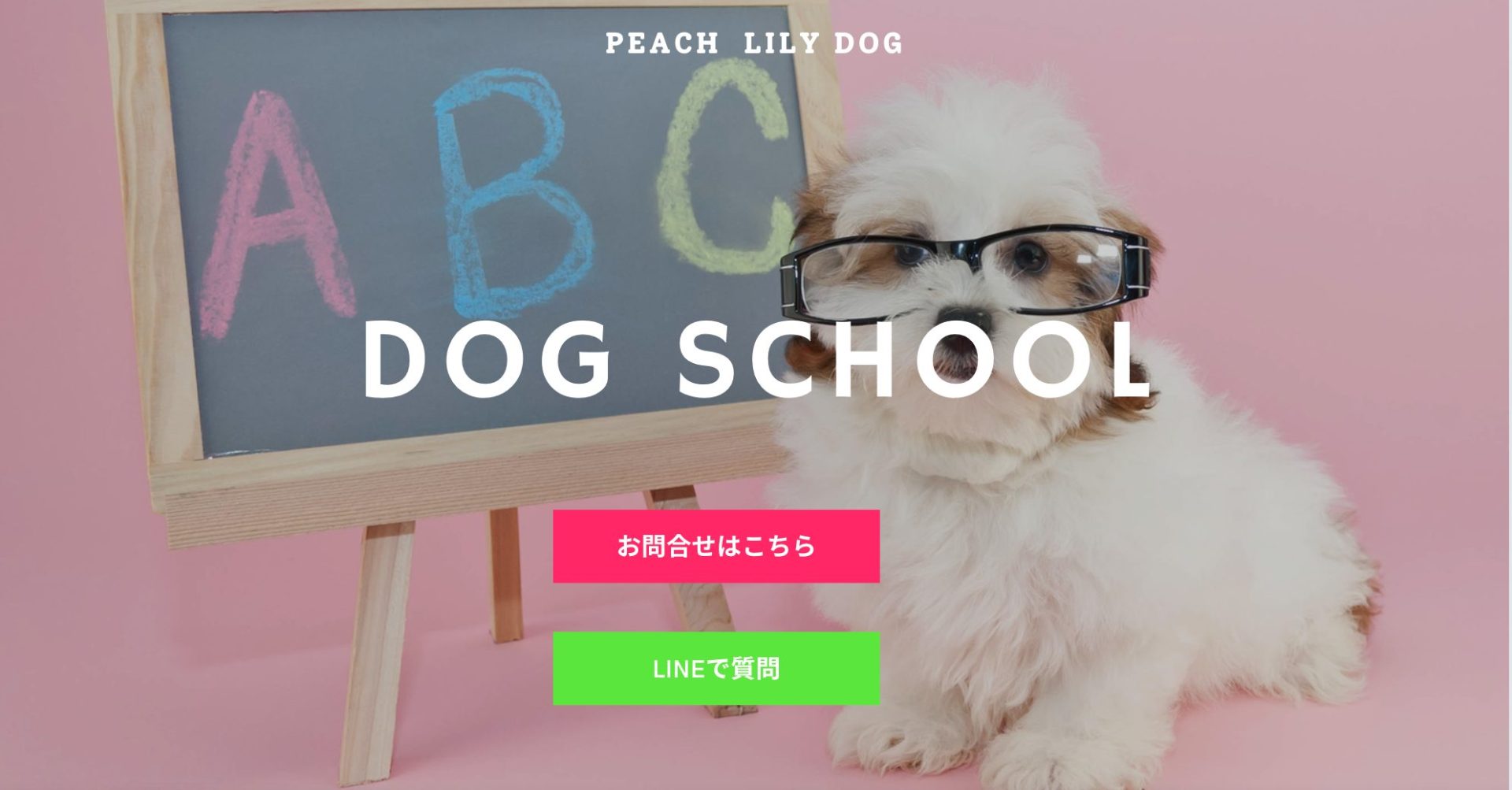 【お知らせ】ドッグスクール お友達紹介キャンペーン