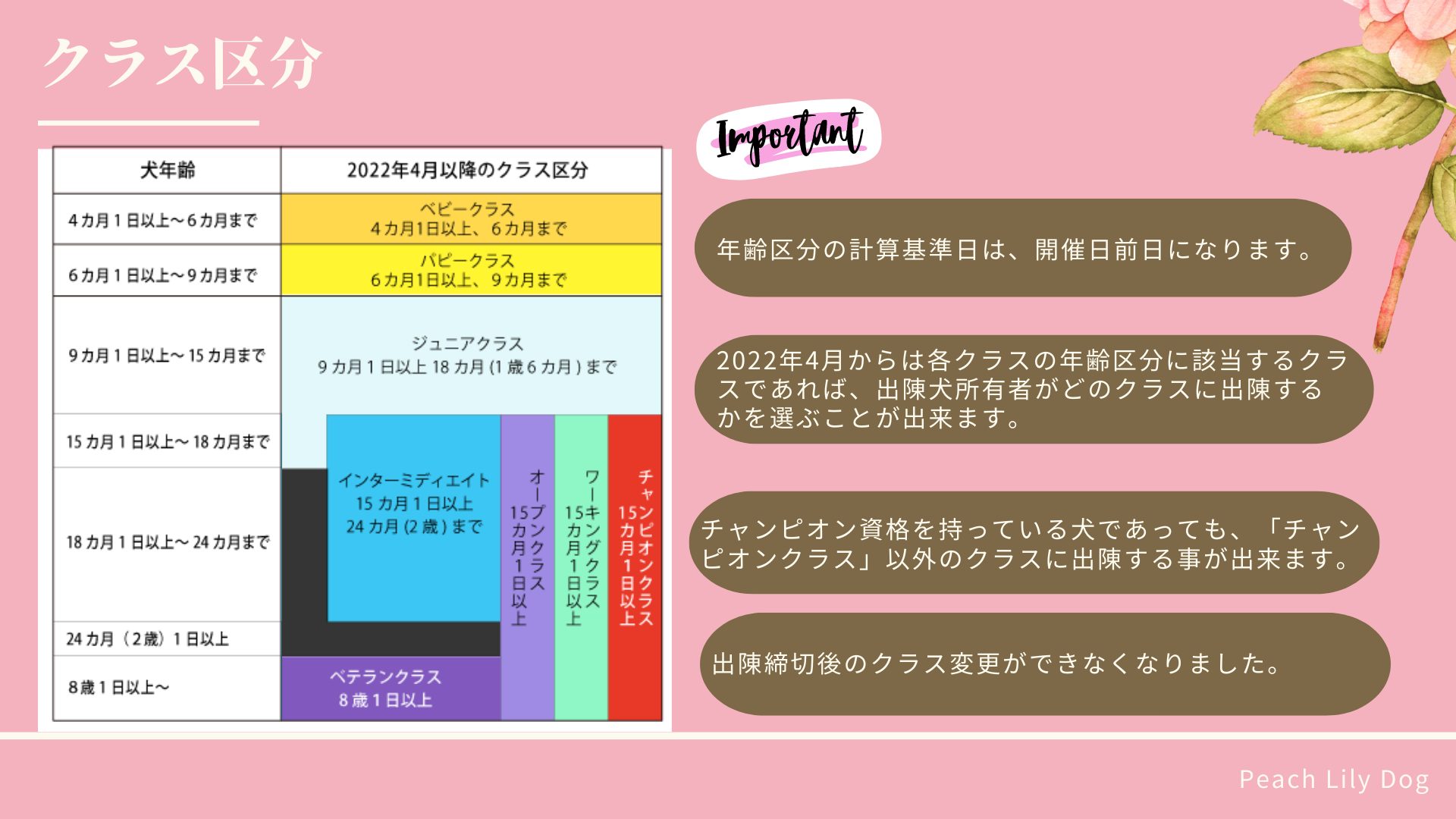 【解説】ドッグショールール改正